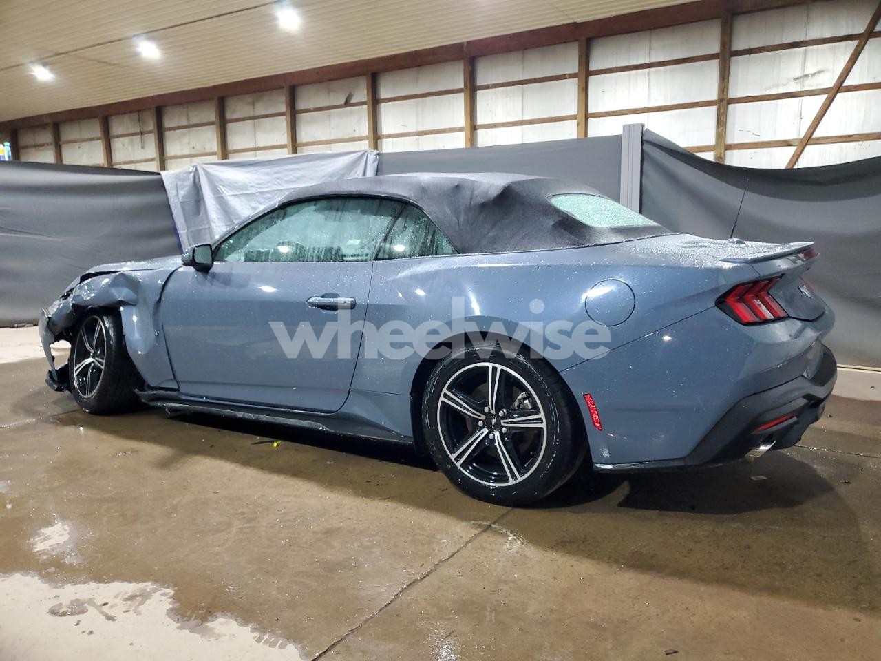 Photo 2 of 2024 FORD MUSTANG (VIN 1FAGP8UH5R5127616)