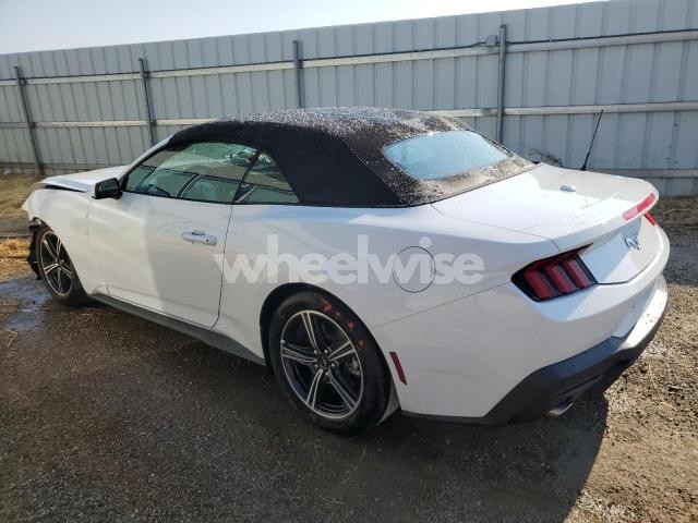 2025 FORD MUSTANG (VIN 1FAGP8UH5S5117335) main photo