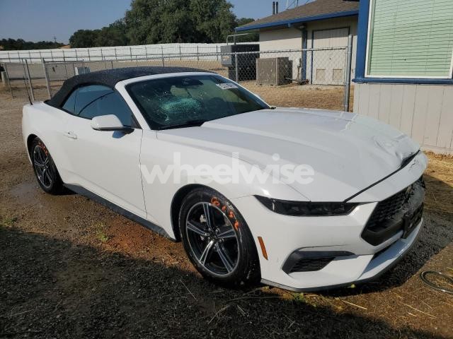 Photo 11 of 2025 FORD MUSTANG (VIN 1FAGP8UH5S5117335)