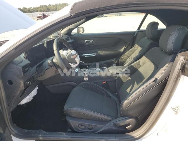 Photo 12 of 2025 FORD MUSTANG (VIN 1FAGP8UH5S5117335)