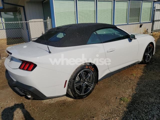 Photo 3 of 2025 FORD MUSTANG (VIN 1FAGP8UH5S5117335)