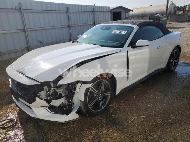 Photo 5 of 2025 FORD MUSTANG (VIN 1FAGP8UH5S5117335)