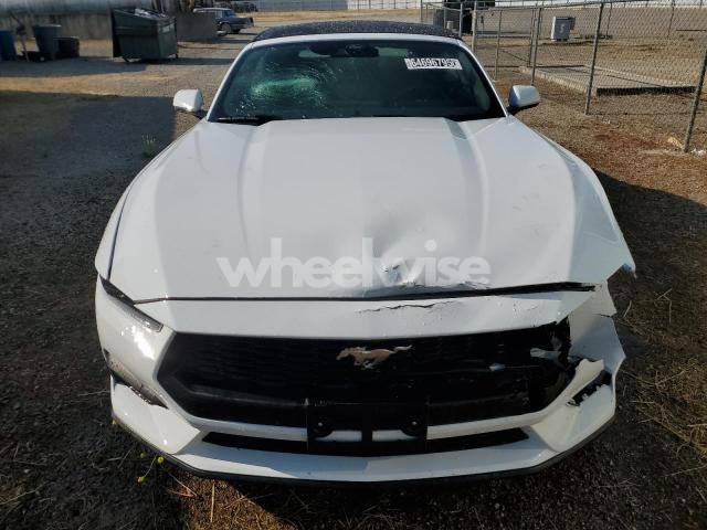 Photo 7 of 2025 FORD MUSTANG (VIN 1FAGP8UH5S5117335)