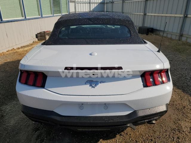 Photo 8 of 2025 FORD MUSTANG (VIN 1FAGP8UH5S5117335)