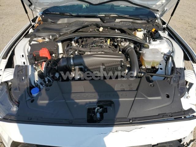 Photo 9 of 2025 FORD MUSTANG (VIN 1FAGP8UH5S5117335)