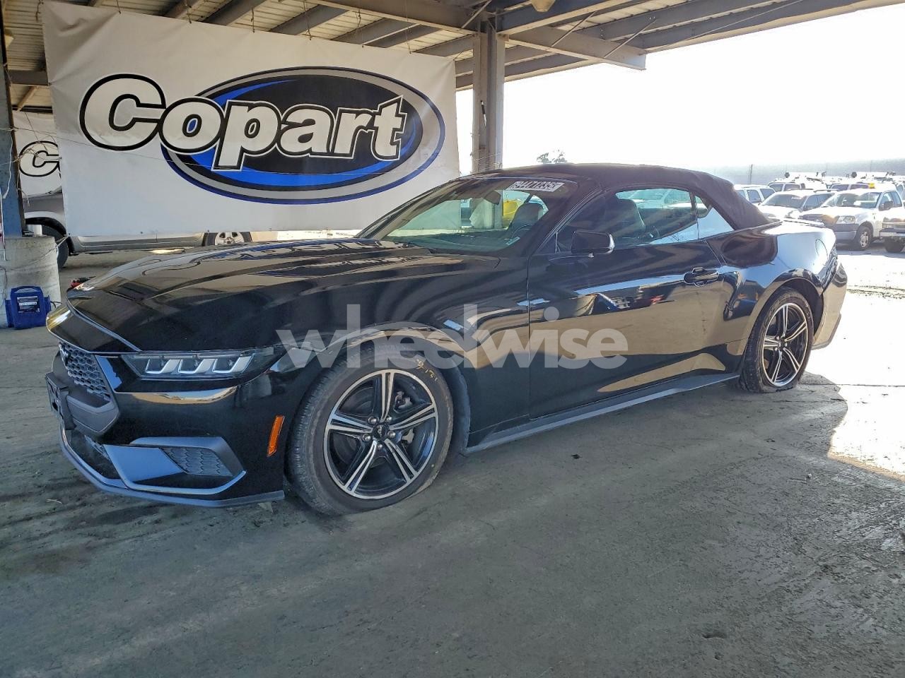 2024 FORD MUSTANG (VIN 1FAGP8UH6R5113059) main photo