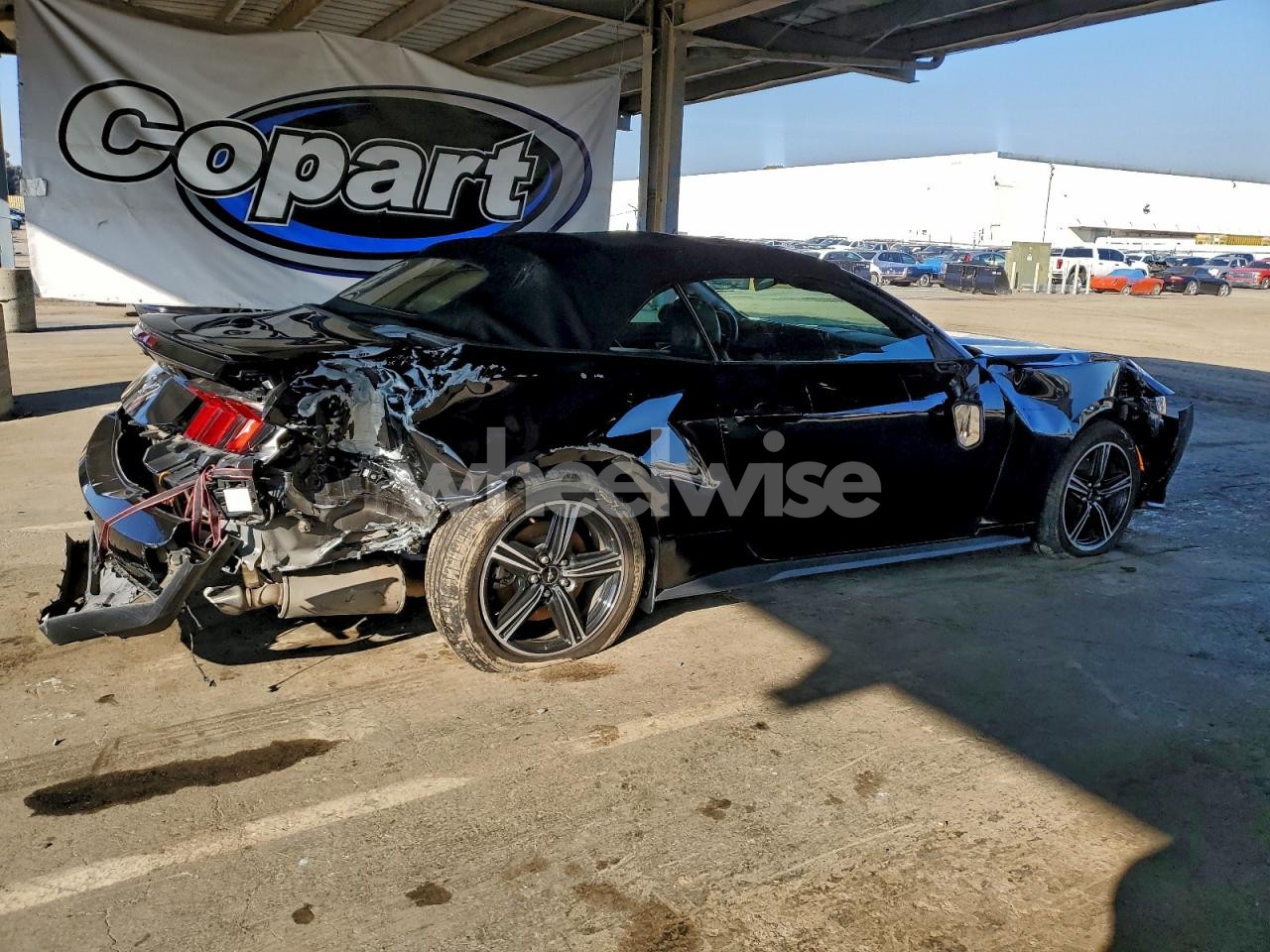 Photo 3 of 2024 FORD MUSTANG (VIN 1FAGP8UH6R5113059)