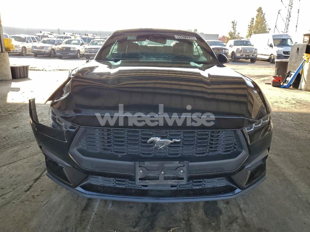 Photo 5 of 2024 FORD MUSTANG (VIN 1FAGP8UH6R5113059)