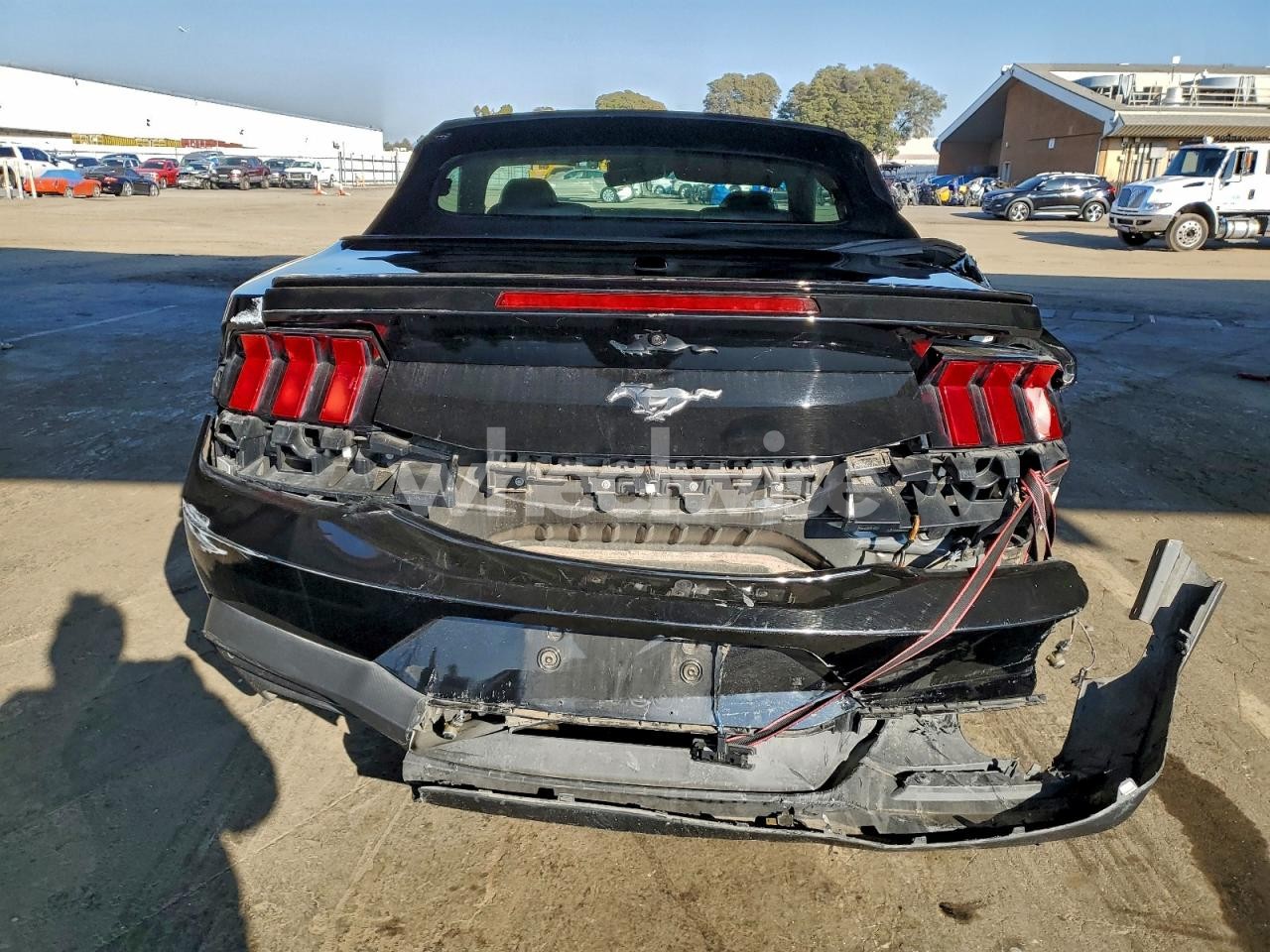 Photo 6 of 2024 FORD MUSTANG (VIN 1FAGP8UH6R5113059)