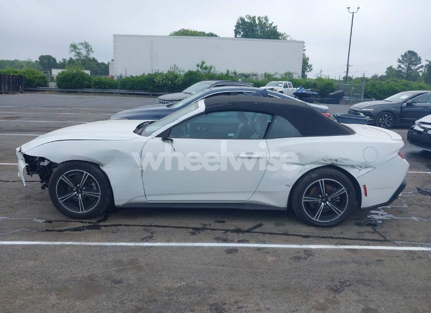 Photo 15 of 2024 Ford Mustang ECOBOOST PREMIUM (VIN 1FAGP8UH6R5126278)