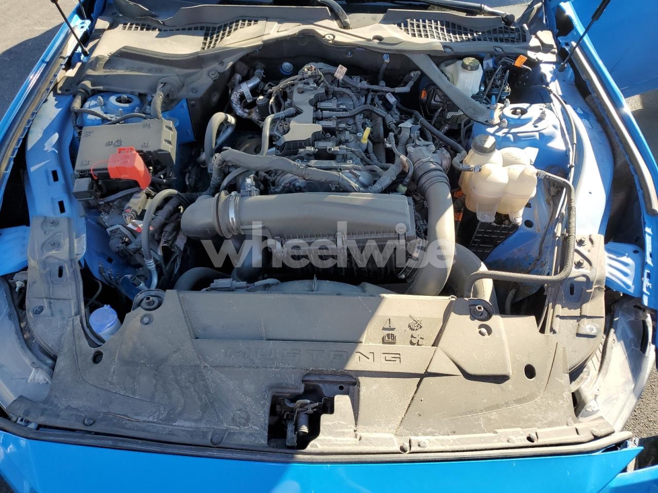 Photo 11 of 2024 FORD MUSTANG (VIN 1FAGP8UH6R5137569)