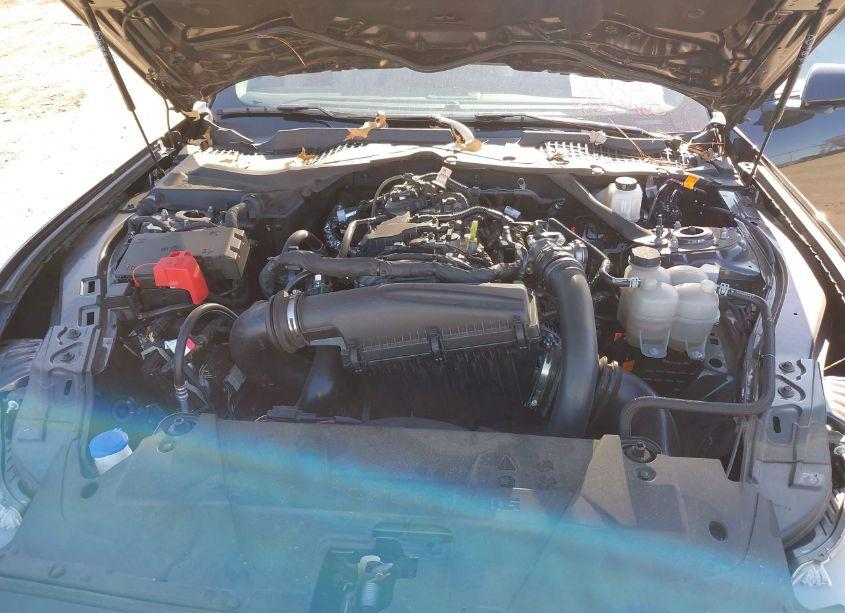 Photo 10 of 2024 Ford Mustang ECOBOOST PREMIUM (VIN 1FAGP8UH7R5120036)