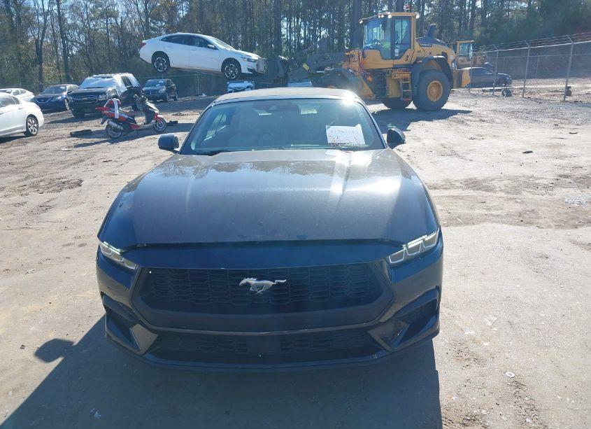 Photo 12 of 2024 Ford Mustang ECOBOOST PREMIUM (VIN 1FAGP8UH7R5120036)