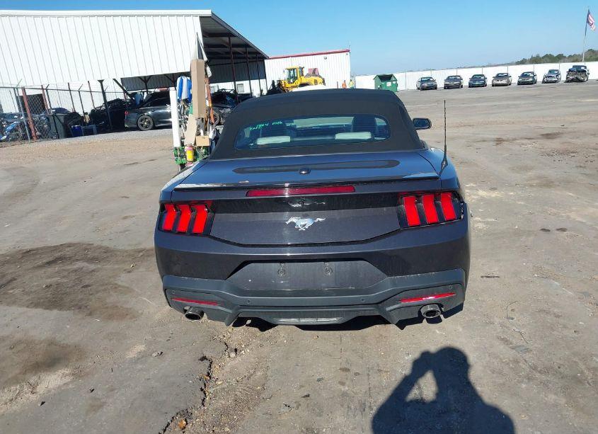 Photo 16 of 2024 Ford Mustang ECOBOOST PREMIUM (VIN 1FAGP8UH7R5120036)