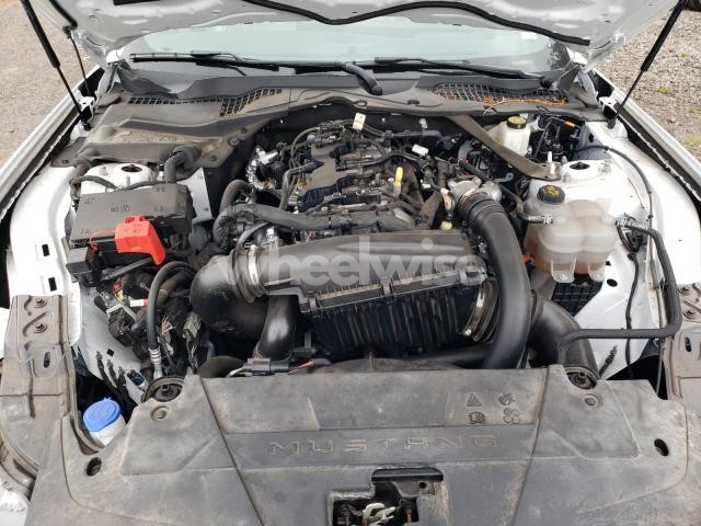 2024 FORD MUSTANG (VIN 1FAGP8UH7R5120165) main photo