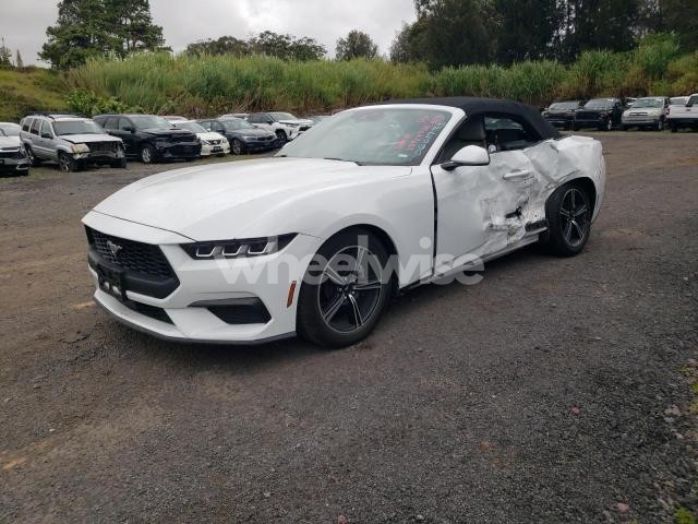 Photo 10 of 2024 FORD MUSTANG (VIN 1FAGP8UH7R5120165)