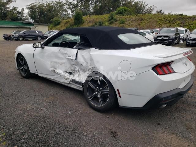 Photo 11 of 2024 FORD MUSTANG (VIN 1FAGP8UH7R5120165)