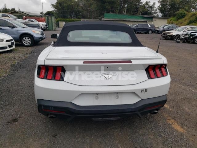 Photo 12 of 2024 FORD MUSTANG (VIN 1FAGP8UH7R5120165)