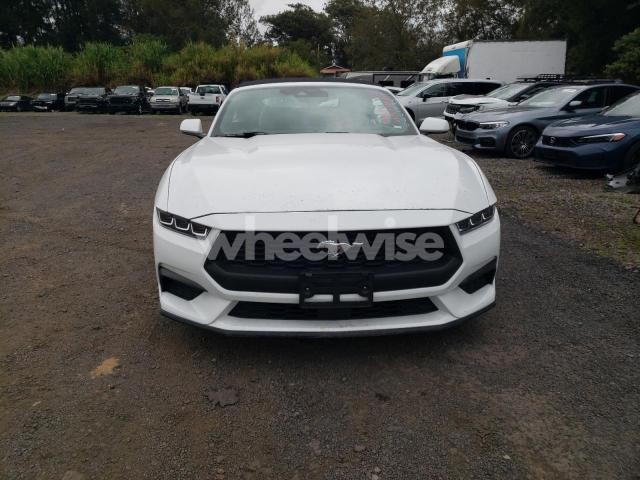 Photo 3 of 2024 FORD MUSTANG (VIN 1FAGP8UH7R5120165)