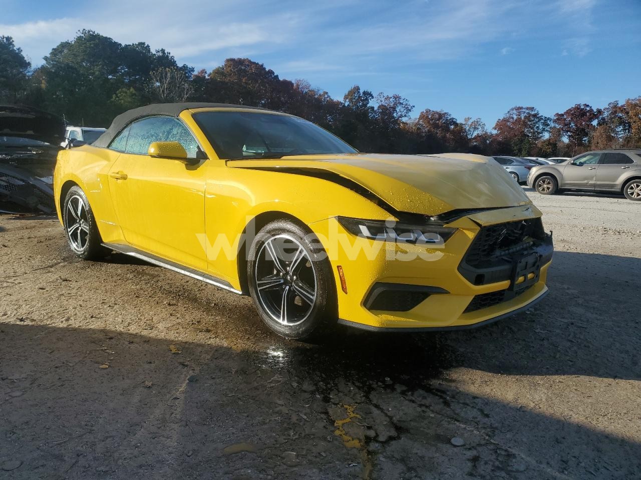 Photo 4 of 2024 FORD MUSTANG (VIN 1FAGP8UH8R5126802)