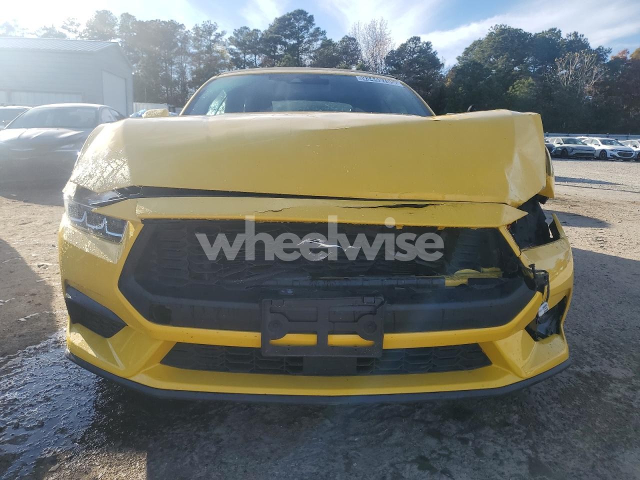 Photo 5 of 2024 FORD MUSTANG (VIN 1FAGP8UH8R5126802)