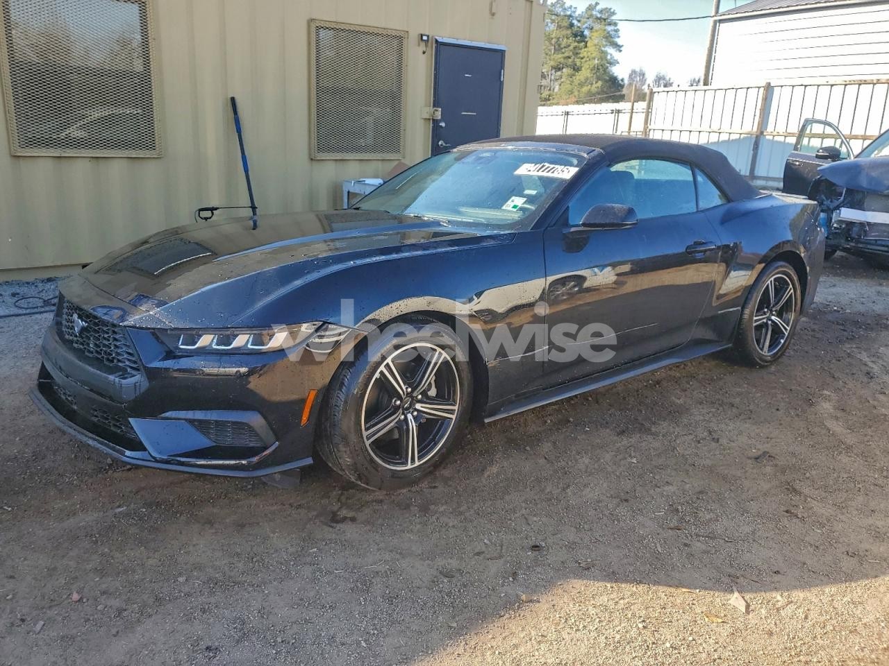 2025 FORD MUSTANG (VIN 1FAGP8UH8S5111044) main photo