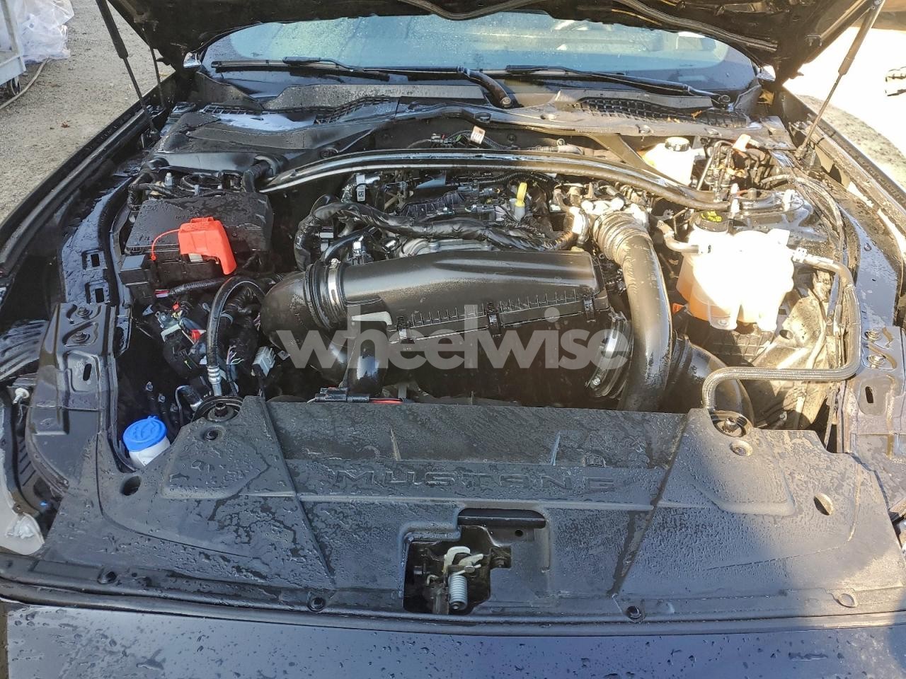 Photo 11 of 2025 FORD MUSTANG (VIN 1FAGP8UH8S5111044)