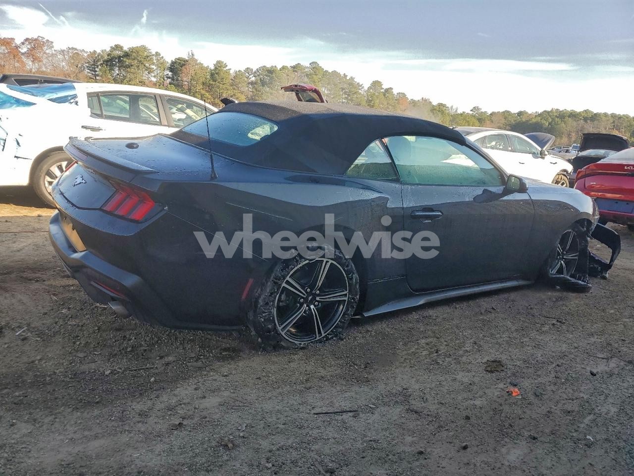 Photo 3 of 2025 FORD MUSTANG (VIN 1FAGP8UH8S5111044)