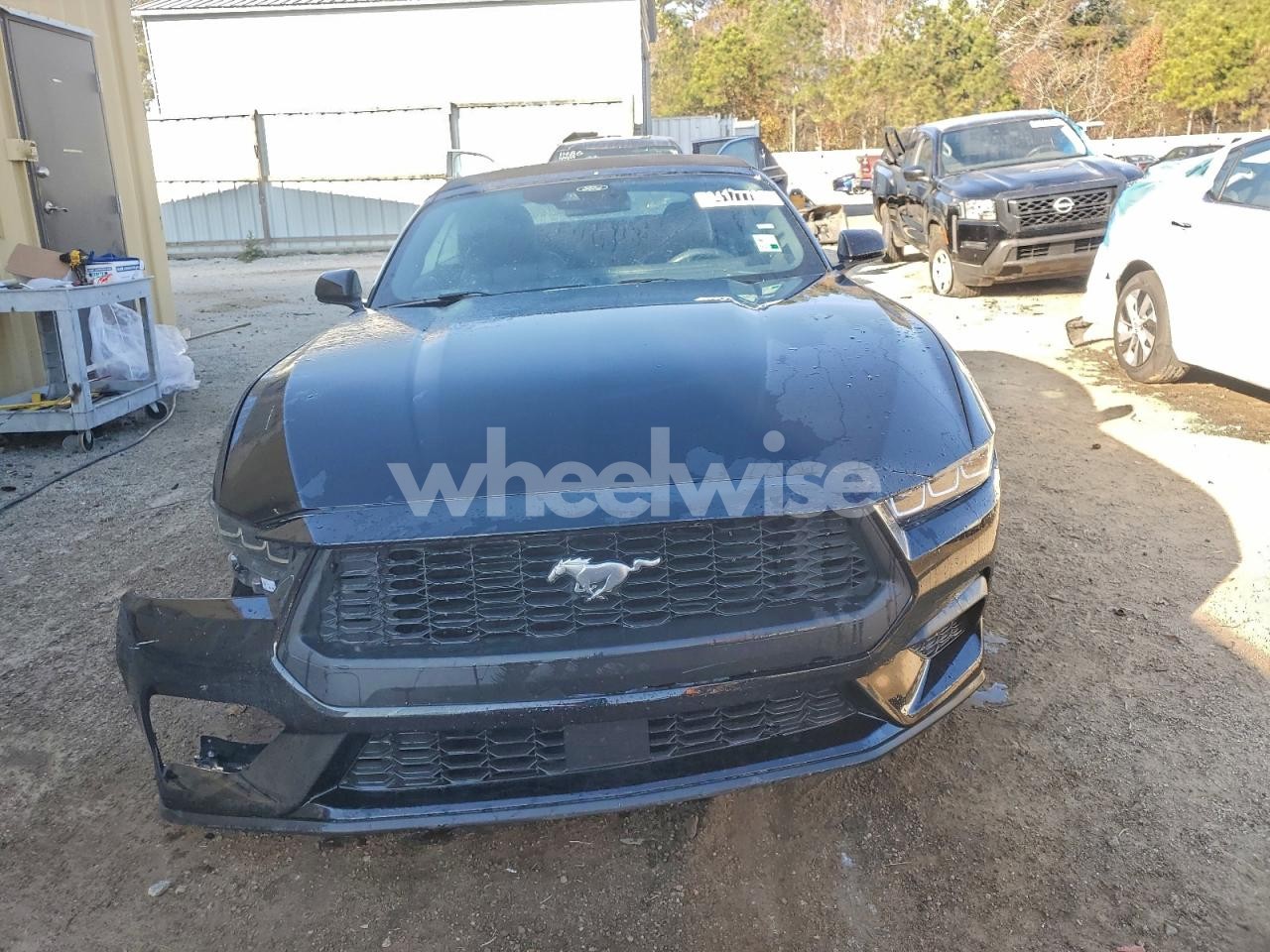 Photo 5 of 2025 FORD MUSTANG (VIN 1FAGP8UH8S5111044)