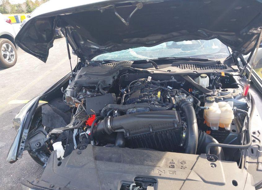 Photo 10 of 2024 Ford Mustang ECOBOOST PREMIUM (VIN 1FAGP8UH9R5113041)