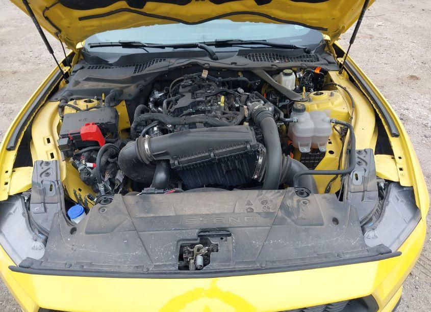 Photo 10 of 2024 Ford Mustang ECOBOOST PREMIUM (VIN 1FAGP8UH9R5123049)