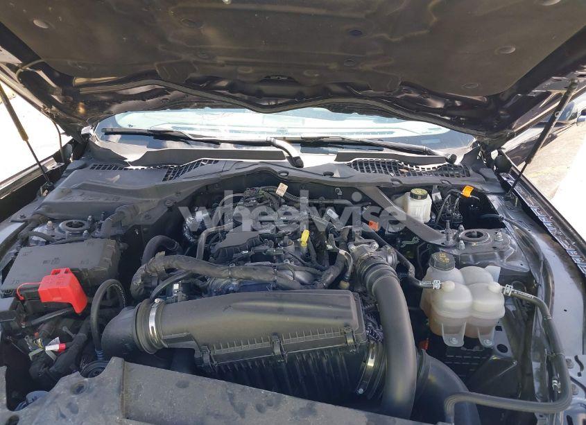 Photo 10 of 2024 Ford Mustang ECOBOOST PREMIUM (VIN 1FAGP8UH9R5123133)
