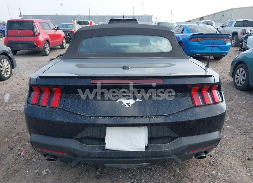 Photo 16 of 2025 Ford Mustang ECOBOOST PREMIUM (VIN 1FAGP8UH9S5105110)