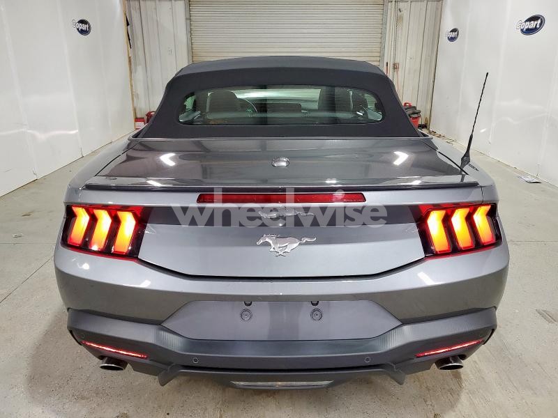 Photo 12 of 2025 FORD MUSTANG (VIN 1FAGP8UHXS5115449)