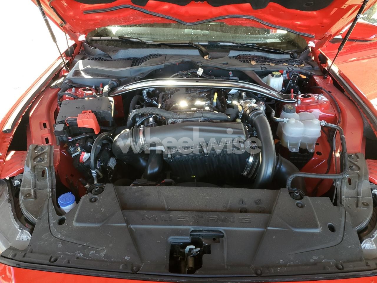 Photo 11 of 2025 FORD MUSTANG (VIN 1FAGP8UHXS5118125)