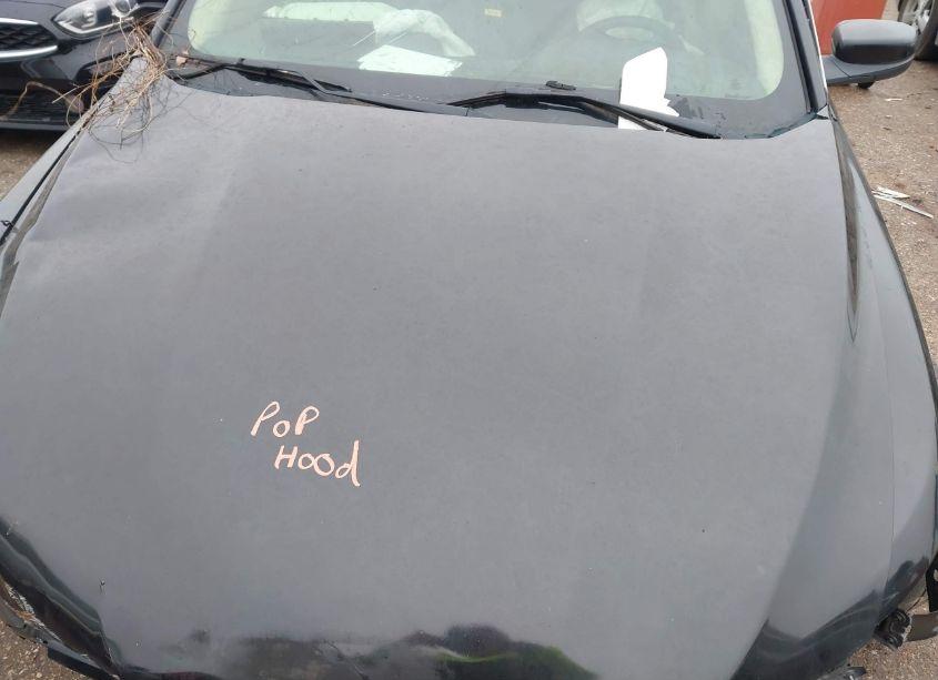 Photo 10 of 2014 Ford Taurus SEL (VIN 1FAHP2E83EG186744)