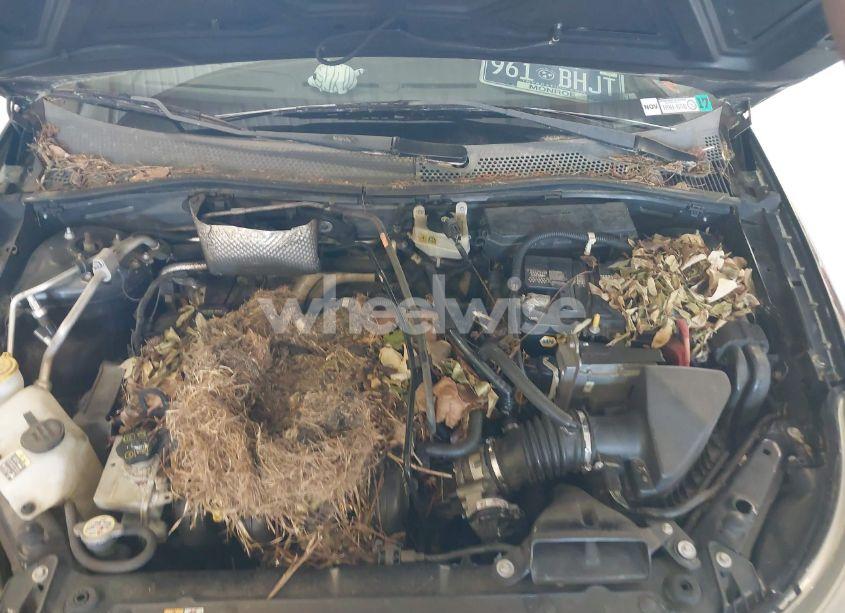 Photo 10 of 2009 Ford Focus SES (VIN 1FAHP33N69W138892)