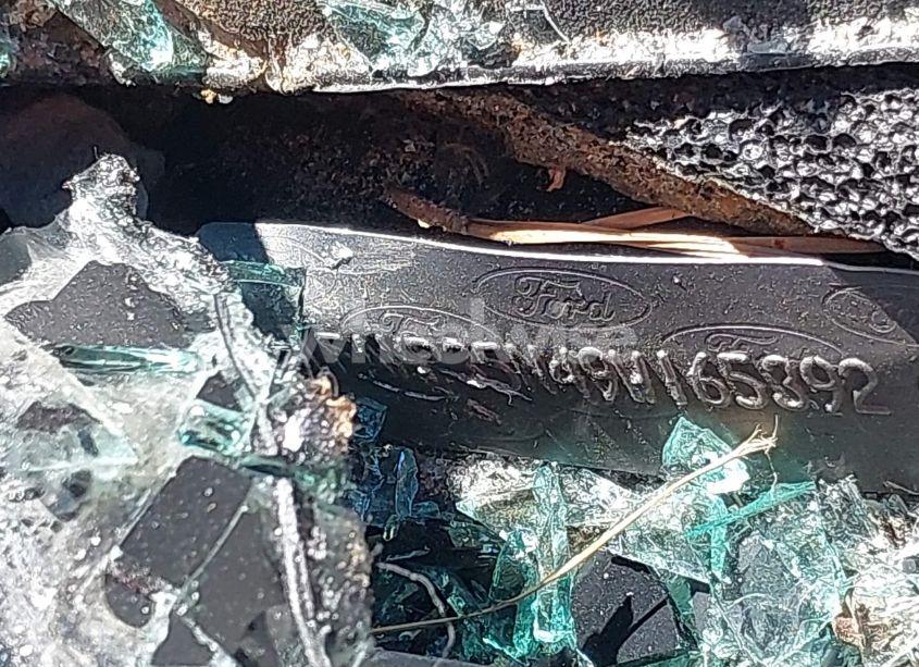 Photo 9 of 2009 Ford Focus SE (VIN 1FAHP35N49W165392)