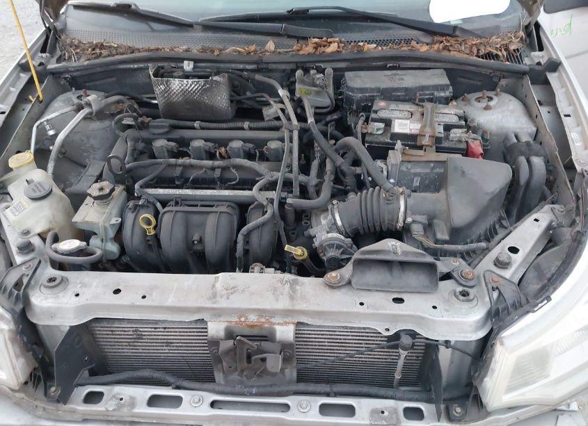 Photo 10 of 2009 Ford Focus SES (VIN 1FAHP36N19W264783)