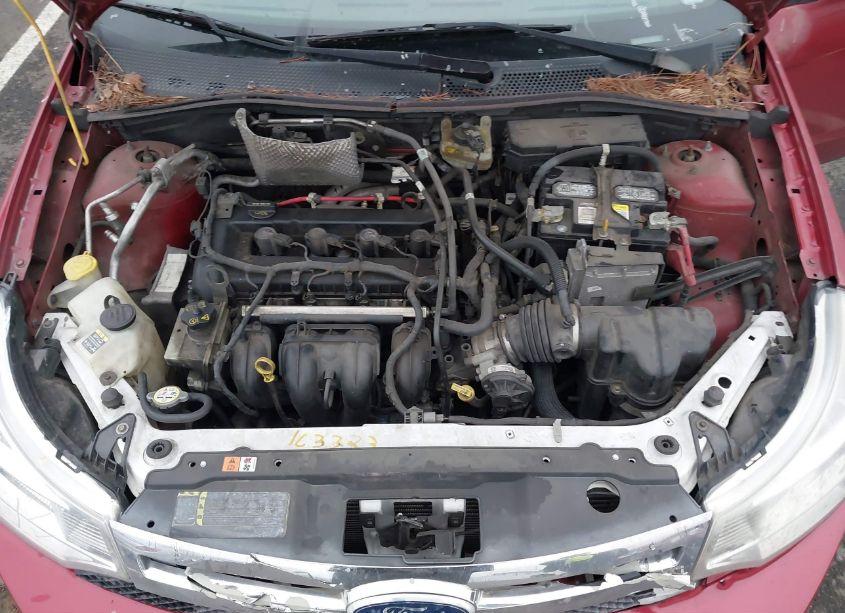 Photo 10 of 2009 Ford Focus SES (VIN 1FAHP36N29W266395)