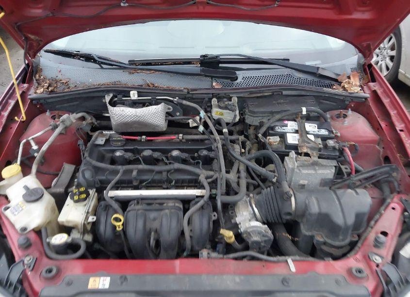 Photo 10 of 2009 Ford Focus SES (VIN 1FAHP36N59W166596)