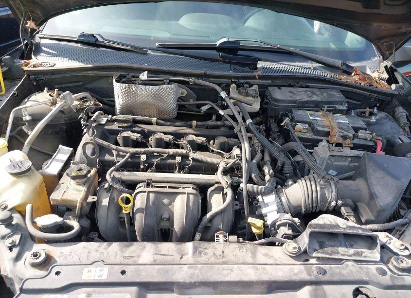 Photo 10 of 2009 Ford Focus SES (VIN 1FAHP36N99W142379)