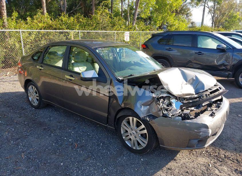 2009 Ford Focus SEL (VIN 1FAHP37N49W177071) main photo