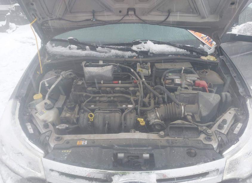 Photo 10 of 2010 Ford Focus SES (VIN 1FAHP3GN7AW246162)