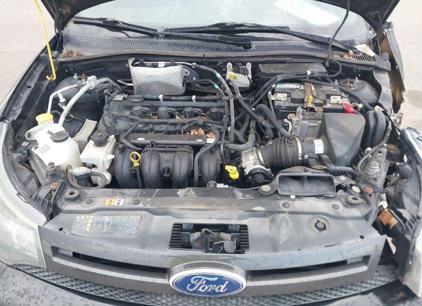 Photo 10 of 2010 Ford Focus SES (VIN 1FAHP3GN9AW291748)