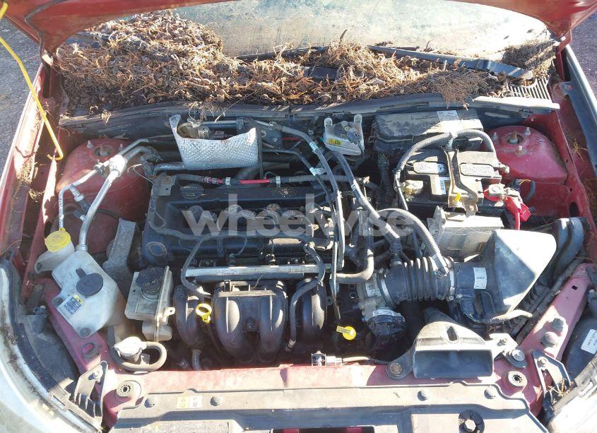 Photo 10 of 2010 Ford Focus SEL (VIN 1FAHP3HNXAW195593)