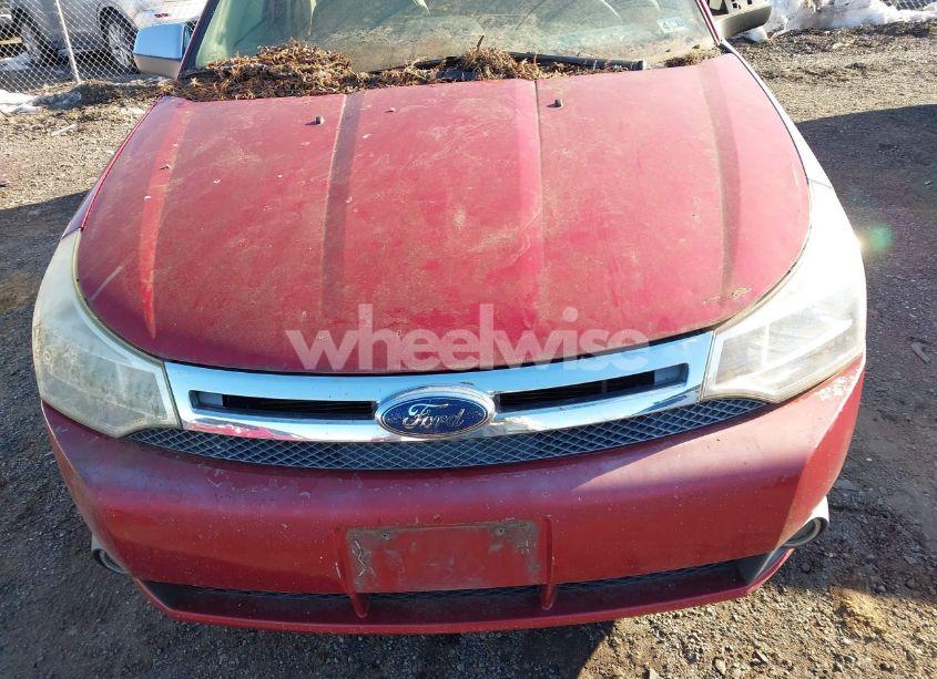 Photo 6 of 2010 Ford Focus SEL (VIN 1FAHP3HNXAW195593)