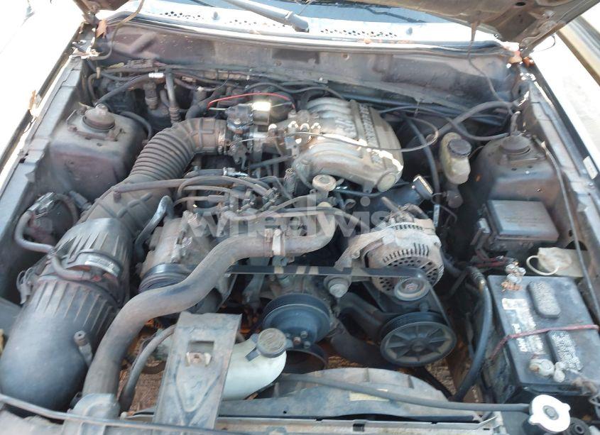 Photo 10 of 1995 Ford Mustang (VIN 1FALP4042SF278701)