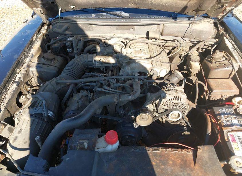 Photo 10 of 1995 Ford Mustang (VIN 1FALP4046SF206271)