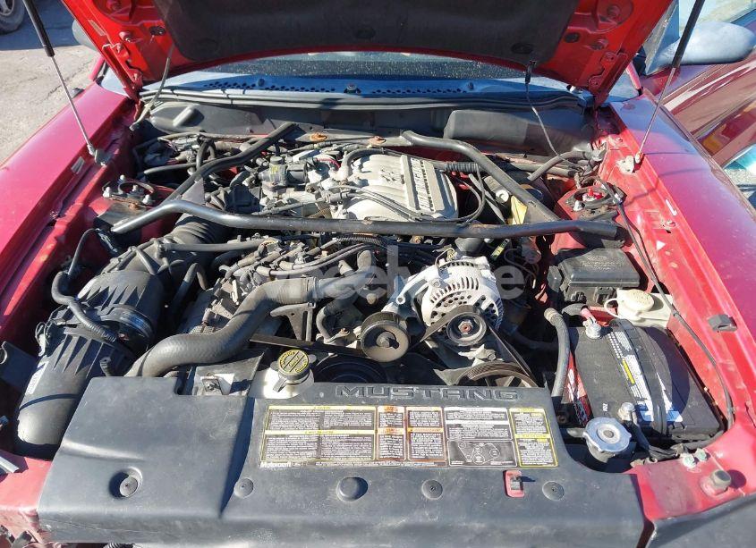 Photo 10 of 1995 Ford Mustang GT/GTS (VIN 1FALP42T3SF142808)